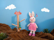 Load image into Gallery viewer, Abby Rabbit Toy Plushy