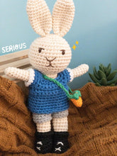 Load image into Gallery viewer, Serious Rabbit Toy Plushy