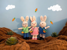 Load image into Gallery viewer, Barry Rabbit Toy Plushy