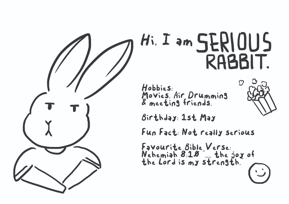 Serious Rabbit Toy Plushy – The Treasure Box SG