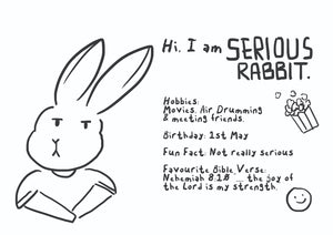 Serious Rabbit Toy Plushy
